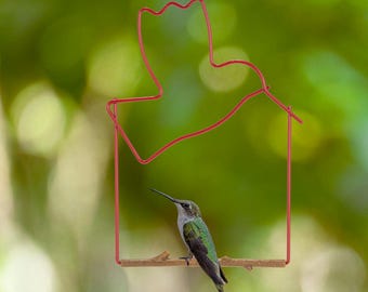Craft Series Red Hummingbird Swing