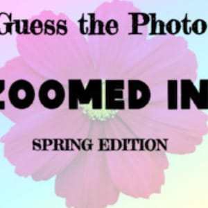 Guess the Zoomed in Picture Game: Spring Edition