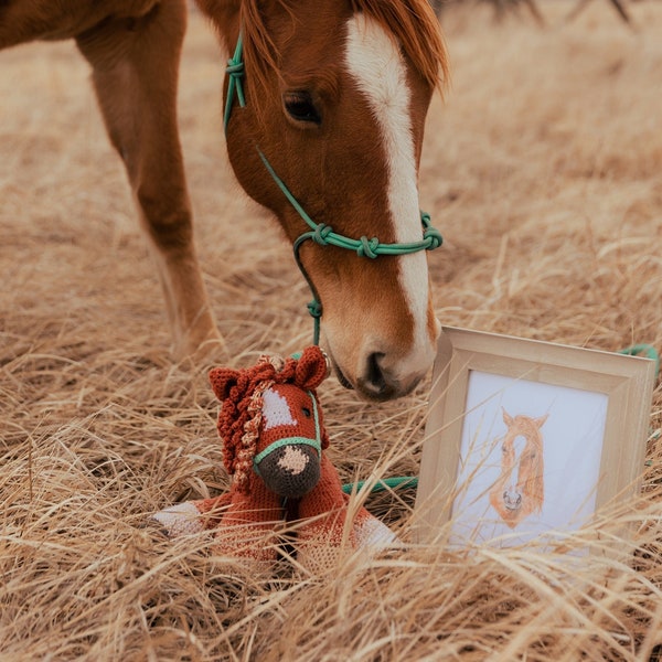 Custom crochet horse plushie and horse portrait