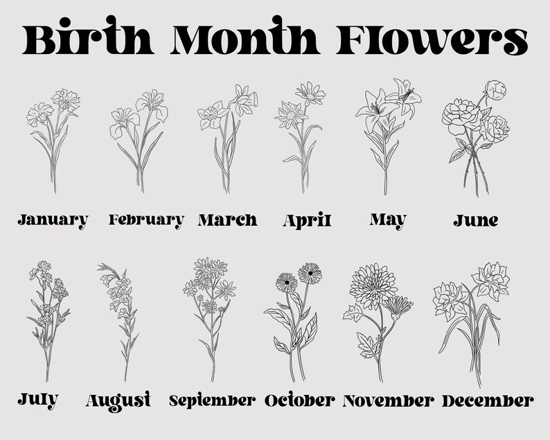 Pode incluir: Uma ilustra&ccedil;&atilde;o em preto e branco de flores que representam as flores de nascimento para cada m&ecirc;s do ano. Os meses s&atilde;o listados abaixo das flores: janeiro, fevereiro, mar&ccedil;o, abril, maio, junho, julho, agosto, setembro, outubro, novembro e dezembro.