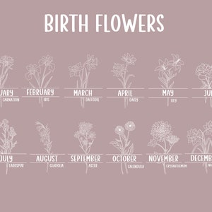 May include: A mauve-colored graphic featuring the words "BIRTH FLOWERS" in white, with illustrations of flowers for each month of the year. Each month is labeled with the month and flower name, such as "January - Carnation."