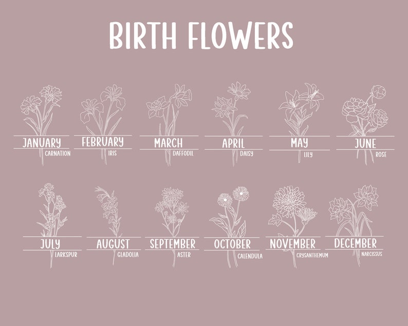 May include: A mauve-colored graphic featuring the words "BIRTH FLOWERS" in white, with illustrations of flowers for each month of the year. Each month is labeled with the month and flower name, such as "January - Carnation."