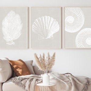K&ouml;nnte beinhalten: Drei gerahmte Drucke mit wei&szlig;en Illustrationen von Muscheln und Korallen auf hellgrauem Hintergrund. Die Drucke h&auml;ngen an einer wei&szlig;en Wand.