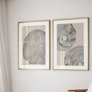 May include: A white bed with a black and white patterned throw blanket in a bedroom with white walls and a large window. Two framed black and white prints of tree rings hang on the wall above a white chair with wooden legs.
