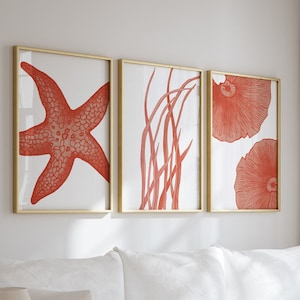 Estampados de coral oceánico, conjunto de 3 piezas, estampados costeros modernos, obras de arte oceánicas, estampado de estrellas de mar, arte rojo coralino, decoración de casas de playa, playero imprimible