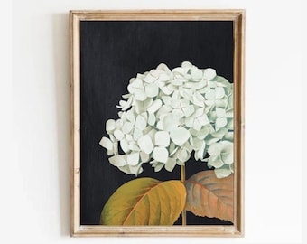 Hydrangea Print, Coquette Prints, Flower Print, Botanical Painting, Vintage Botanical Wall Art, Modern Farmhouse Art, Instant Download