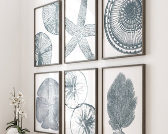 May include: A set of six framed prints featuring black and white illustrations of various sea life, including starfish, coral, and seashells. The prints are displayed on a white wall above a wooden console table with a wicker basket, books, and decorative objects.