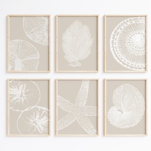 Neutrale Küsten Wandkunst, Strand Poster, 6er-Set Drucke, Boho Strand Poster, Muschel Kunst, Strand Poster, Küsten Dekoration, druckbare Wandkunst