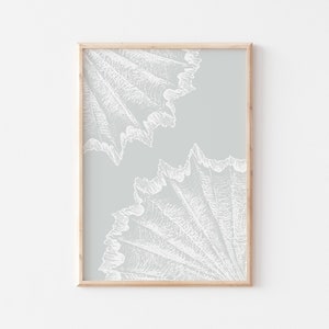 Sea Shell Print, Boho beach art, Shell Wall Art, Coastal Printable, Beach Art, Rustic Beach Decor, Coastal Farmhouse, Instant Download