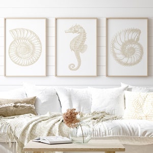 Pode incluir: Três impressões emolduradas de conchas e um cavalo-marinho em uma sala de estar branca com um sofá branco, uma mesa de centro e um tapete. As impressões são de cor bege claro e têm um visual vintage.