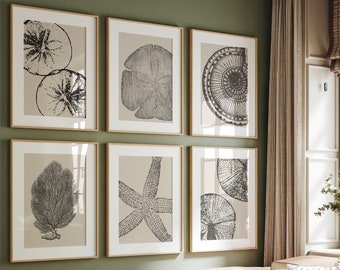 Coastal Gallery Wall, Neutral Beach Art, Set of 6 Beach Prints, Modern Abstract Beach Art, Shell Prints, Beach House Decor, Printable Art