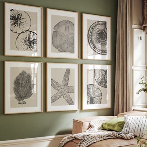 Vintage Coastal Gallery SET of Six Prints, Vintage Nautical Vintage Coastal Gallery SET of Six Prints, Vintage Nautical