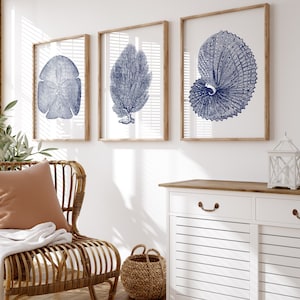 Arte costero azul, juego de 3 piezas, decoración costera, estampado de abanicos de mar, arte de erizos de mar, estampados con temática oceánica, decoración de casas de playa, arte mural imprimible