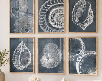 Coastal art, Coastal prints, Beach wall art, large coastal wall art, sea shells art, Modern coastal art set, Blue Beach Prints, Printables