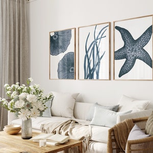 Op de afbeelding: Drie ingelijste prints met een kustthema. De prints tonen een blauwe zeester, blauwe zeewier en blauwe kwallen.