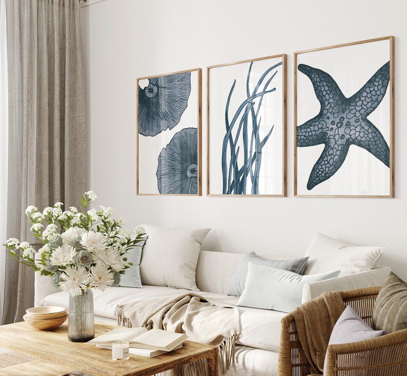 Op de afbeelding: Drie ingelijste prints met een kustthema. De prints tonen een blauwe zeester, blauwe zeewier en blauwe kwallen.
