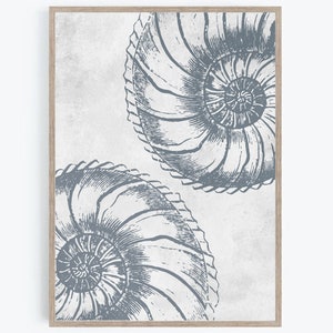 Puede incluir: Una impresión enmarcada que presenta dos ilustraciones detalladas de conchas de nautilus en un tono azul grisáceo apagado. Las conchas se colocan sobre un fondo texturizado blanquecino, creando una estética vintage. La obra de arte está encerrada en un marco de madera marrón claro.