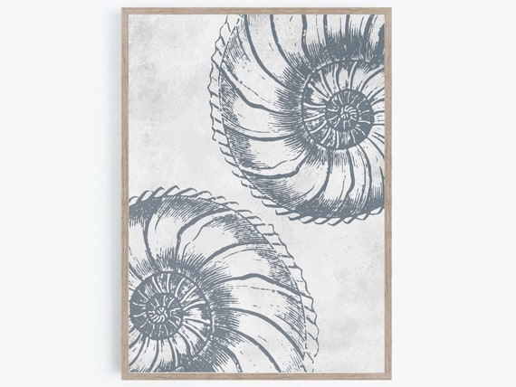 Boho Beach Print, Sea Shell Wall Art, Beach Prints, Coastal Printable, Nautilus Print, Beach Home Decor, Modern Beach Art, Instant Download