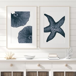 Op de afbeelding: Twee ingelijste prints met een nautisch thema. De linker print toont twee gestileerde illustraties van zeeanemonen in blauw en wit. De rechter print toont een gestileerde illustratie van een zeester in blauw en wit.