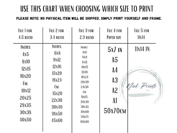 Nature Gallery Wall, Set of 5 Prints, Nature Prints, Black Line