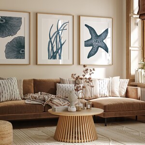 Op de afbeelding: Een bruine hoekbank met kussens en een deken. Drie ingelijste prints met blauwe en witte illustraties van een zeester, zeewier en paddenstoelen hangen aan de muur achter de bank.