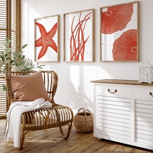 May include: A white cabinet with two drawers and two doors, a wicker chair with a throw blanket, and three framed prints of red coral and starfish on a white wall.