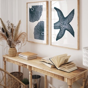 Op de afbeelding: Twee ingelijste prints met een witte achtergrond en blauwe illustraties. De print aan de linkerkant toont twee gestileerde blauwe kwallen. De print aan de rechterkant toont een gestileerde blauwe zeester. De prints hangen aan een witte muur boven een houten consoletafel.