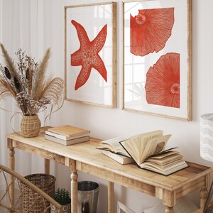 May include: Two framed prints with red illustrations of a starfish and two seashells on a white background. The prints are hanging on a white wall above a wooden console table with books and a vase of dried flowers.