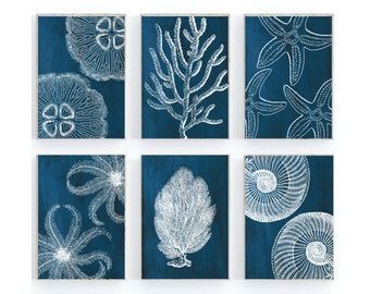 Coastal Wall Art, Set of 6 Prints, Beach Prints, Sea Fan Coral, Ocean Printable, Blue Coastal Art, Sea life prints, Instant Download