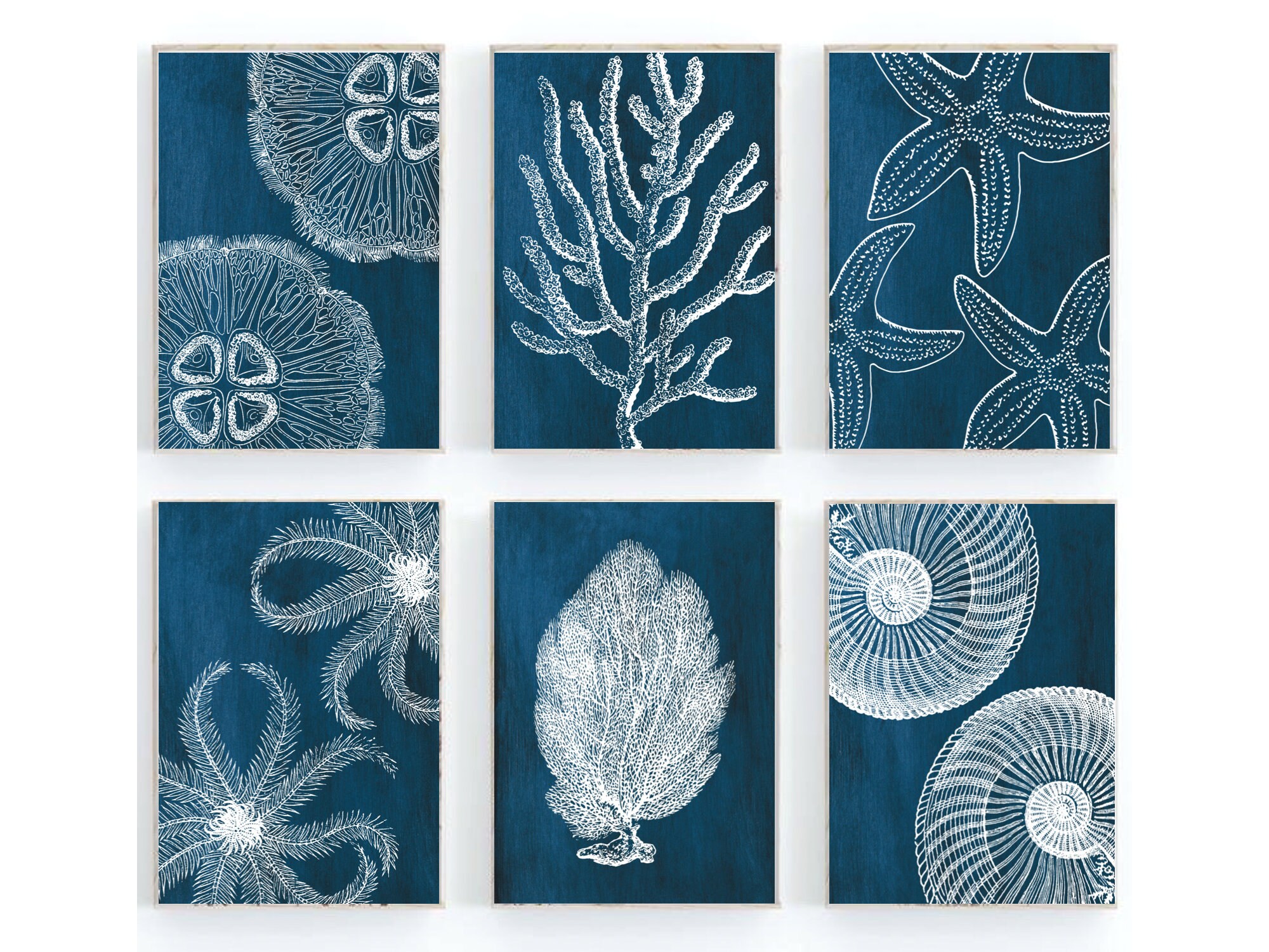 Coastal Wall Art, Set of 6 Prints, Beach Prints, Sea Fan Coral, Ocean ...