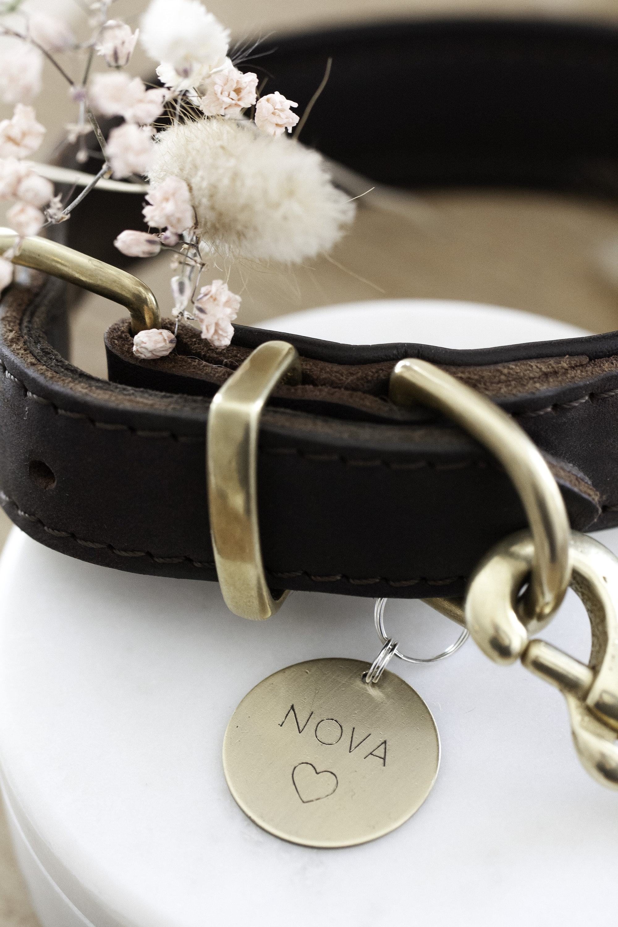 Personalisiertes Hundehalsband Anhänger Messing - 3D Relief Gravur