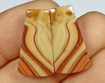 AAA+++ Quality Dolomite Pair Cabochon Gemstone / Top Grade Wave Dolomite Pair Stone / For Earring / Fancy Shape / 15.00 Ct / Loose Gemstone