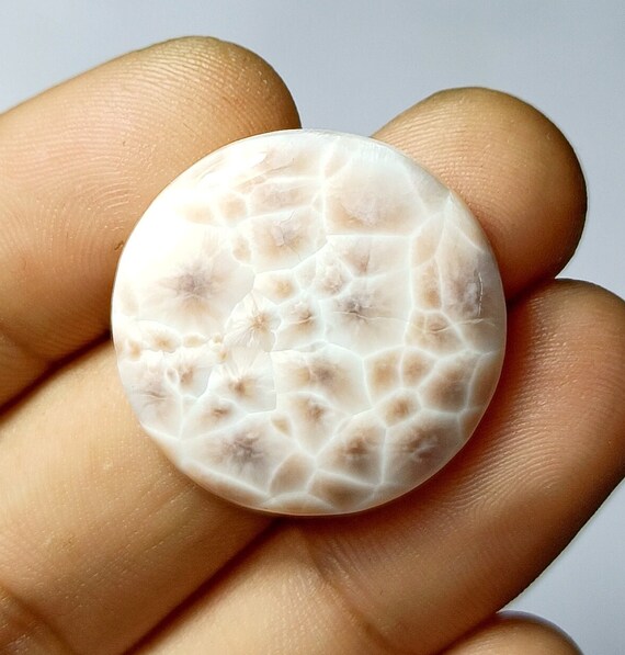 高品質トムソナイト（ピンクラリマー） 真ん中か下の子 コメント