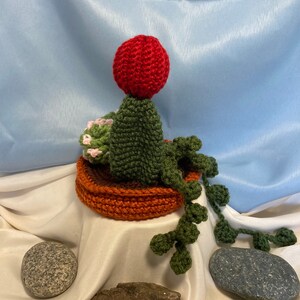 Succulent Dish Garden Handmade Crochet