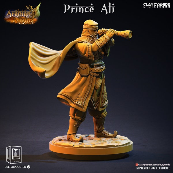 Prince Ali - Mille et une nuits - Miniatures cyanure d'argile - Miniatures imprimées - Idéal pour les RPG de table - D&D - Pathfinder
