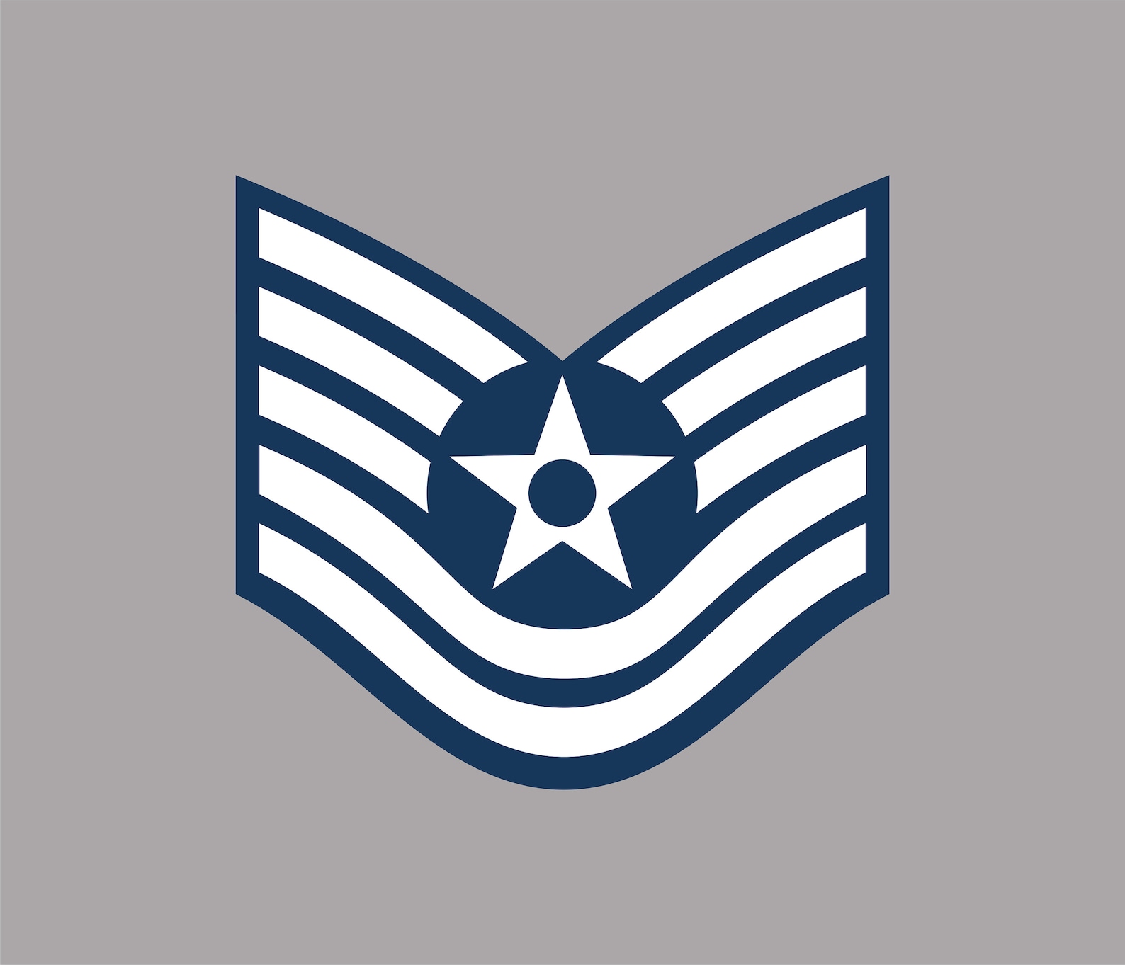 Tech Sergeant Air Force Results 2025 Tarra Francine