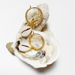 Gold Puka Shell Creolen