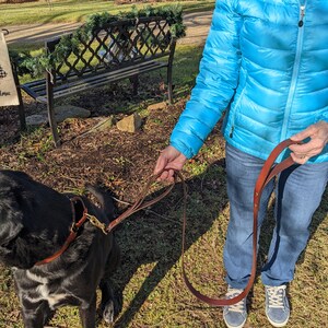 Peut inclure: Une personne portant une veste bleue prom&egrave;ne un chien noir avec une laisse en cuir marron. Le chien porte un collier en cuir marron.