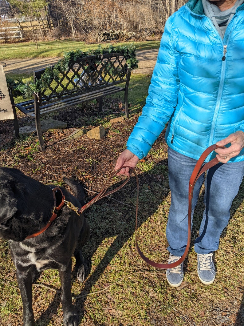 Peut inclure: Une personne portant une veste bleue prom&egrave;ne un chien noir avec une laisse en cuir marron. Le chien porte un collier en cuir marron.