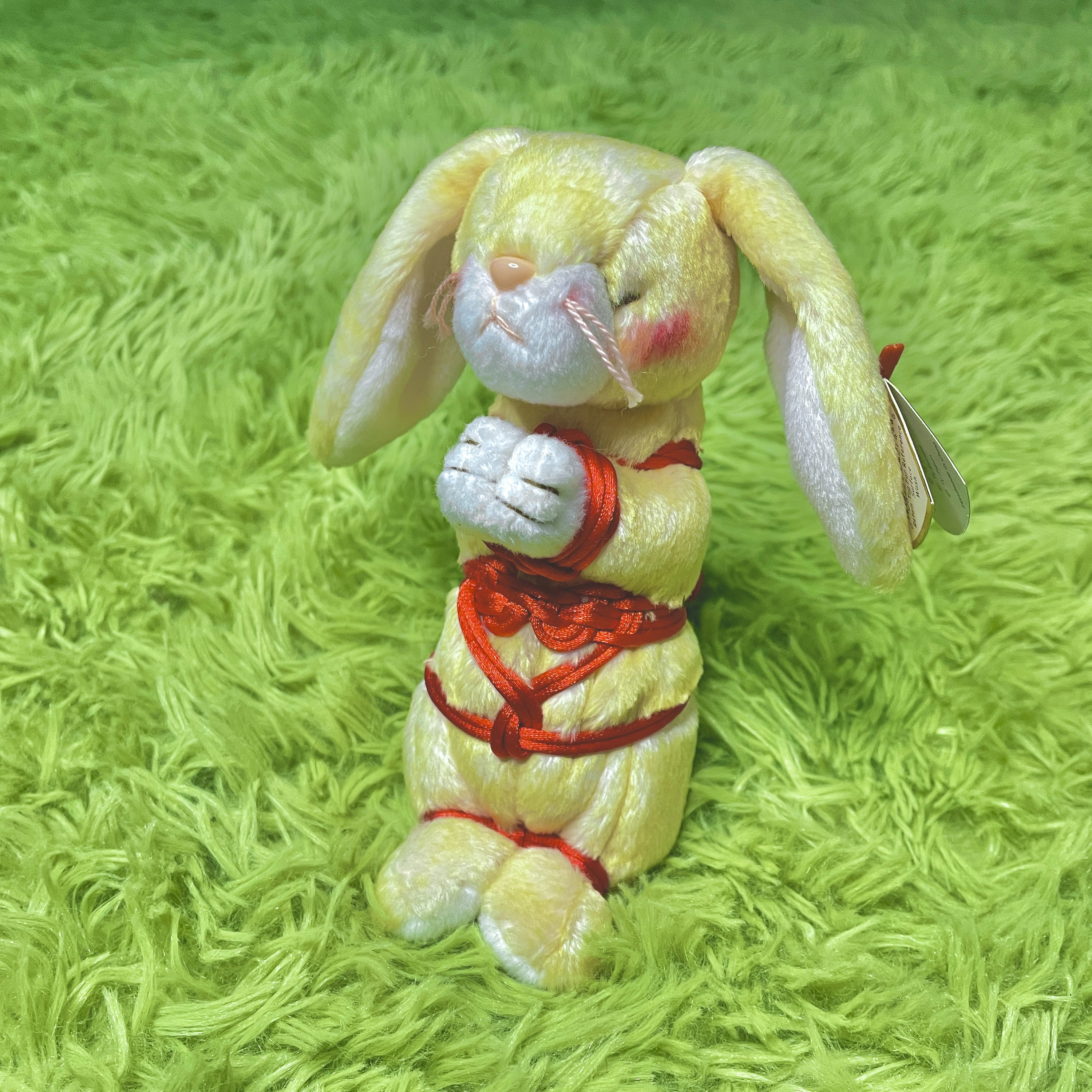 [Letter3 5] Rope Bunny Definition - ib4ckx8