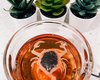 Scorpio Zodiac Tea Gift | FREE Shipping | 1 FREE Mini Honeycomb w/ Every Order | 6 Horoscope Shaped Tea Bags | Unique | Birthday Present