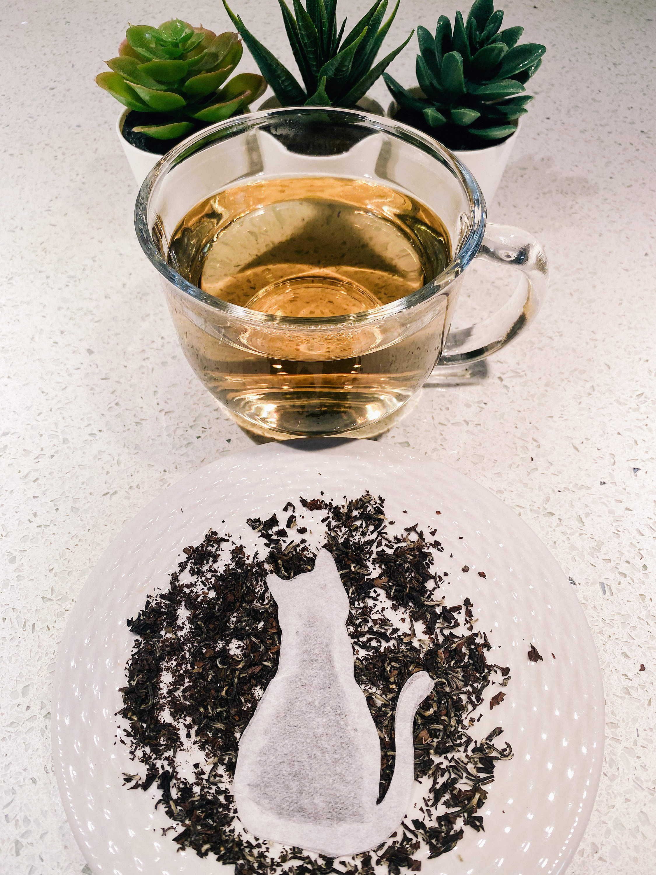 Gift for Cat Lovers 5 Cat Shaped Tea Bags Tea Lover 5 Tea Etsy