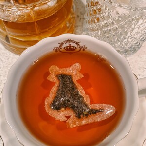 Fox 6 Shaped Tea Bag | FREE Shipping | 1 FREE Mini Honeycomb W/ Every ...