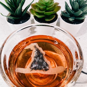 May include: A glass mug filled with a warm, amber-colored beverage. A witch's hat-shaped tea bag is submerged in the liquid. The tea bag is made of white fabric with a black tea leaf filling. Three small potted succulents are in the background.