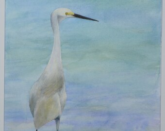 Garza nevada en la playa