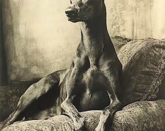 Viktorianisches Windspiel Portrait - Eleganter Schwarz-Weißer Hund Kunst (45 x 60 cm) (Digital Download)