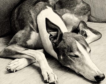 Schlafender Greyhound Druck: Whippet Hund Kunst (Digitaler Download)