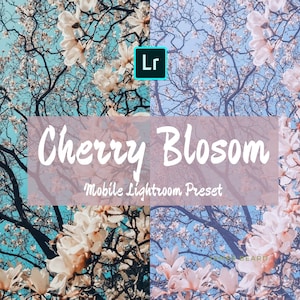 Mobile Lightroom Presets, iPhone Preset, Vsco Filters, Instagram Filter, DNG Presets, Cherry Flora Blogger Travel Filter, Light Pink Preset