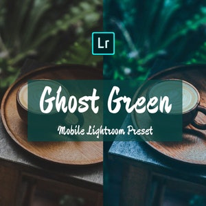 Forest Green Mobile Lightroom Presets, iPhone DNG Preset, Vsco Instagram Filter, Dark Mood Green Blogger Influencer Fashion Indoor Presets