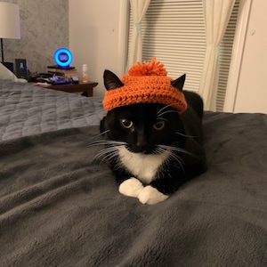 Hat for Cat, Crochet Hat for Cat, Cat Hat